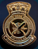 All Gold ORA Lapel Badge